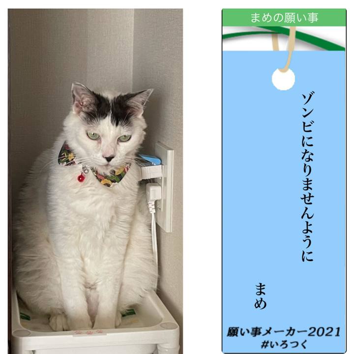 A9fb260e 6be3 4f8f b096 b18a5724b567 1625665351548