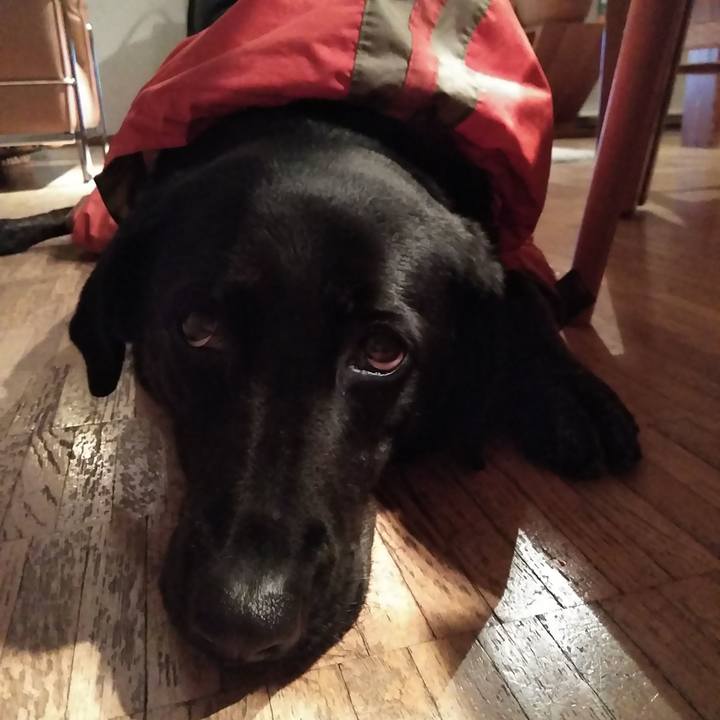 A9fb43f5 2fbd 494c b845 4585036083e0 1585745282081