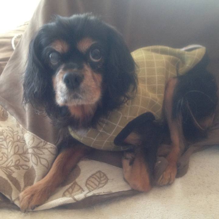 A9fb4aa7 809e 49f7 bbe0 1b9f0f2069bc 1519547299937