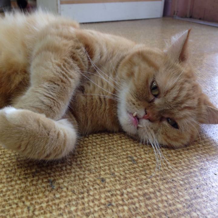 A9fb6269 0002 4816 adf4 41cf5cd05833 1507939468720