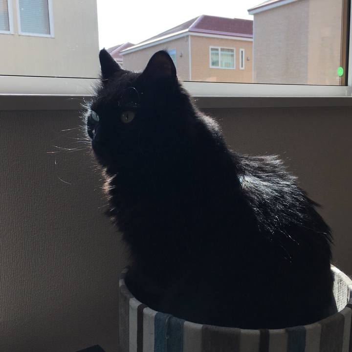 A9fb93e3 7692 40e9 87eb e76fc76da19e 1523843204977