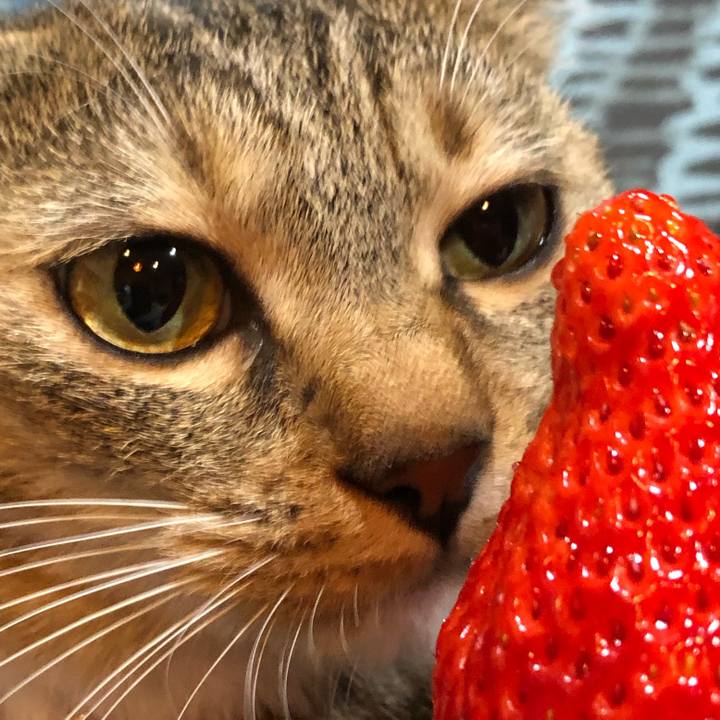 A9fbb233 65bc 4fe5 8244 da2103d4557e 1611984626177