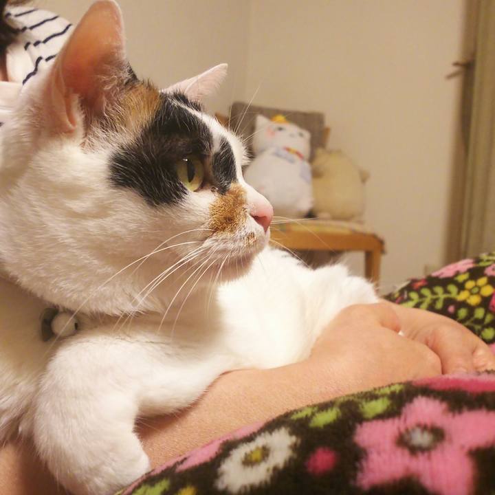 A9fbd2fe a160 4114 93a8 ae0431e308be 1557050903184