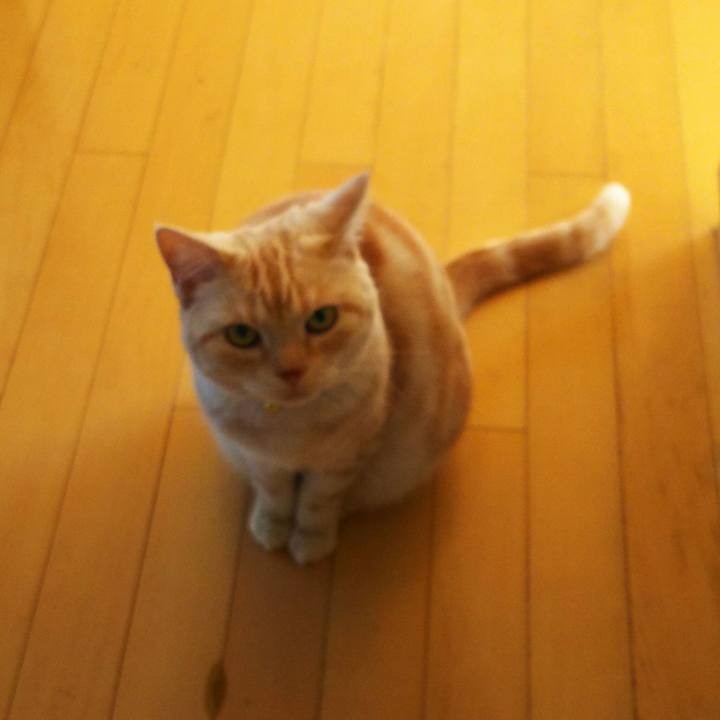 A9fbd65d 65f0 4fd3 bdfd c2c58181edb3 1511653619473