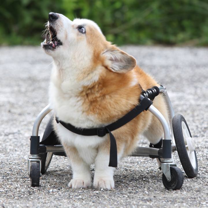 A9fbe295 e37e 4ee4 aca3 e8408be2daed 1735634123009