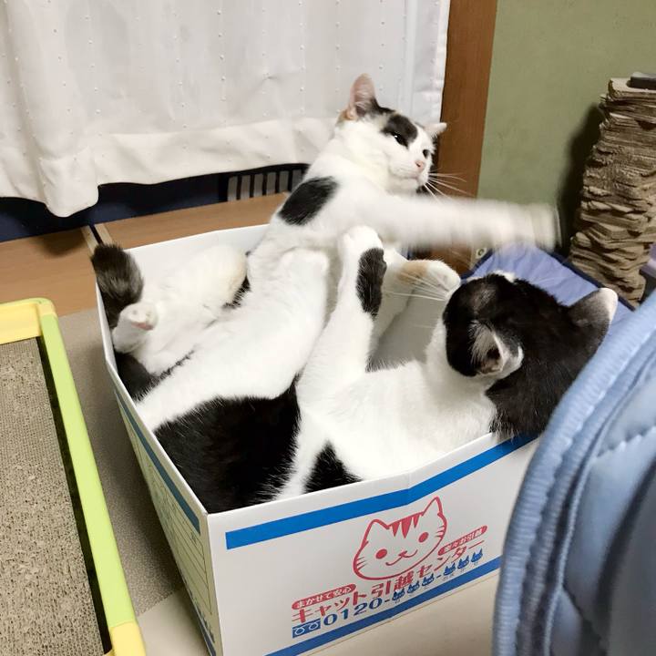 A9fbf963 d5a9 4adb 836b 072ced5438e6 1538013935081