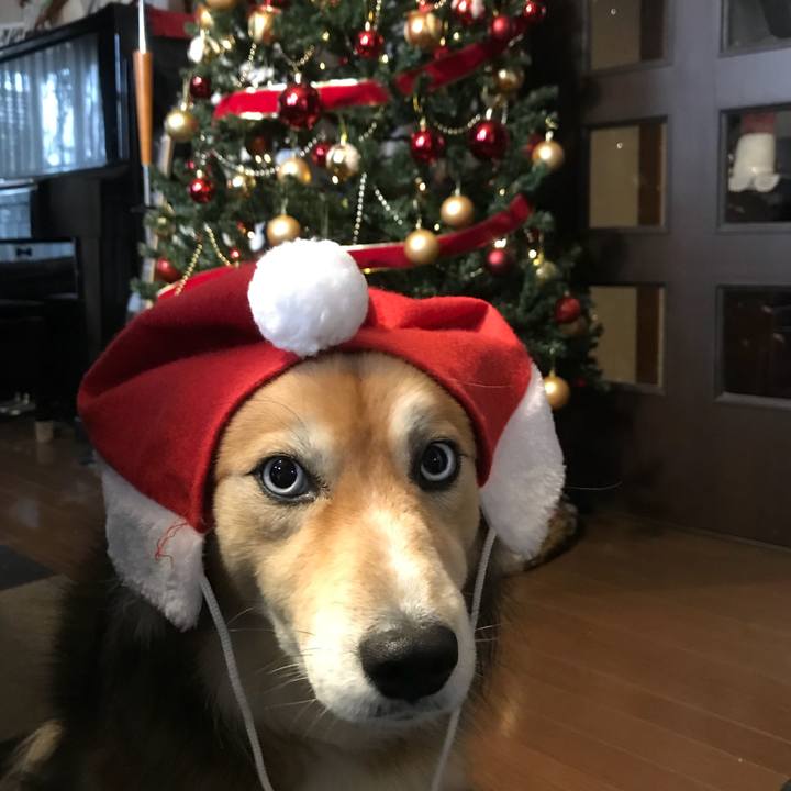 A9fc24bd 6a2a 4d77 b262 f1b116705597 1513753181081