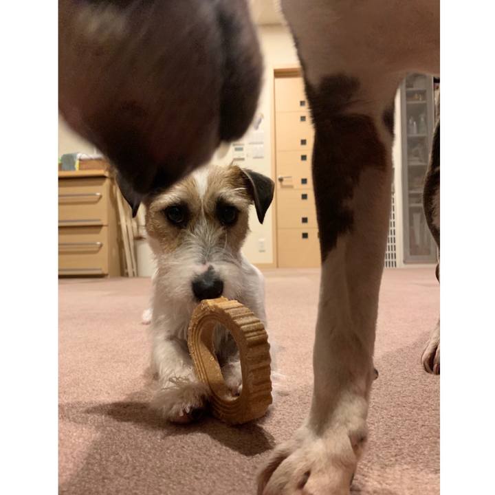 A9fc2e77 9791 4791 8ee4 ca50489cd28c 1588769104933