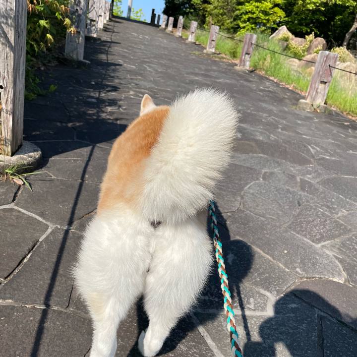 A9fc37d2 2a72 4bf1 b242 94dcf8637996 1651535337067