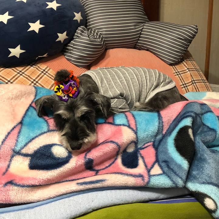 A9fcfada 1cb4 40c7 9e35 a2fb3c9e195e 1666694773015