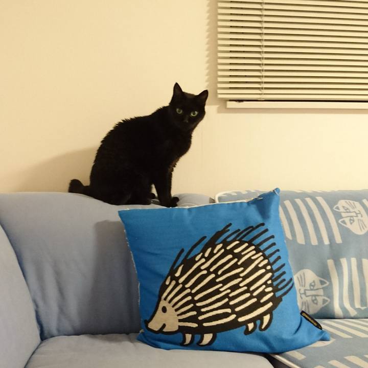 A9fd15c1 7bd3 47e8 8c50 00949653e759 1534077308566