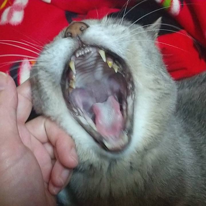 A9fd2247 43d7 46f8 b6ee 31f1ec11dffa 1676474333798