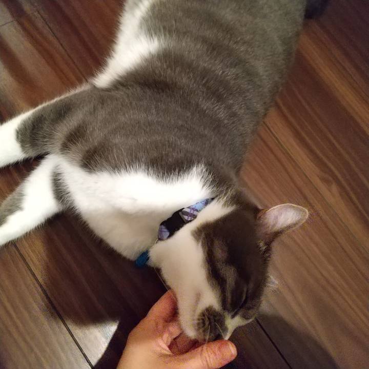 A9fd3236 89ba 4442 8e1e e2166344e301 1602941170419