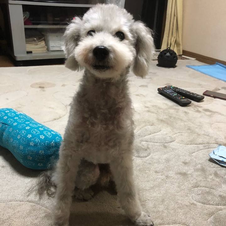 A9fd8a28 7e6f 453c 9fe7 2b73ad7516e9 1633392102053