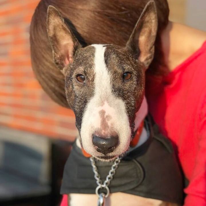 A9fd9c3b 4ebc 4236 bb9e 070a48e807d2 1516450768828