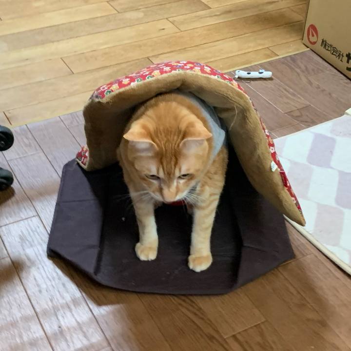 A9fdc8c9 2fdc 419c ab1c eca8a1fe8d62 1615760260383