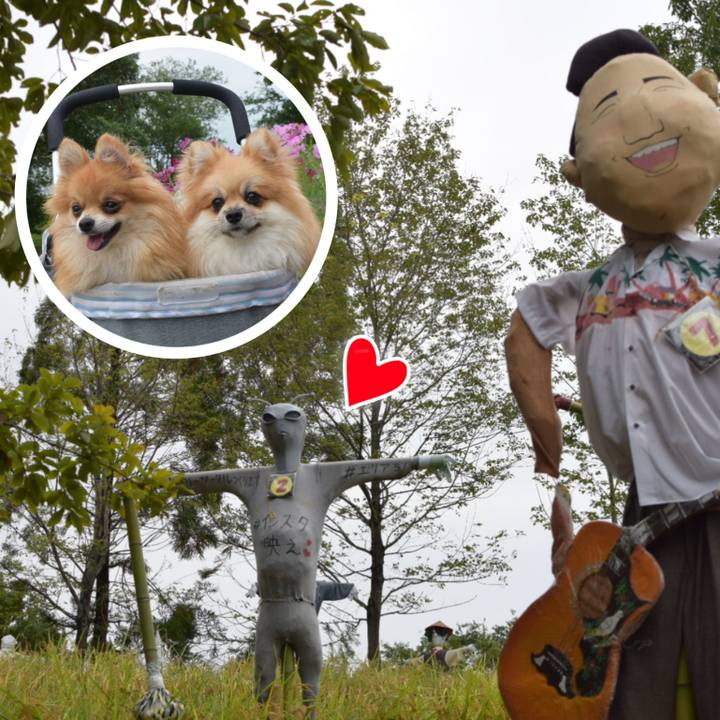 A9fdf440 4c04 45c1 a4fa d0533ddad34d 1539951792301