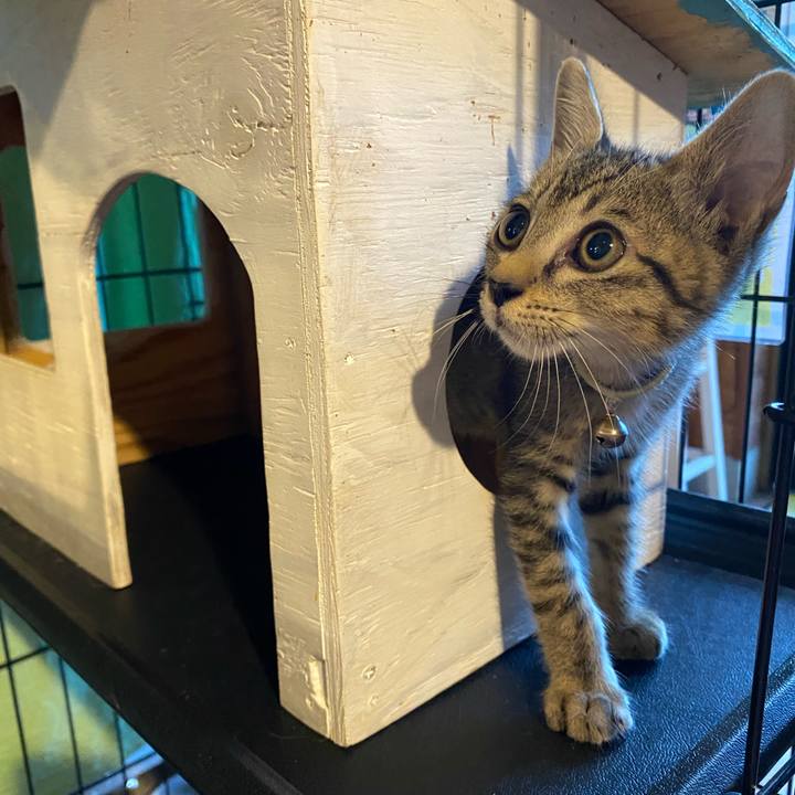 A9fdfcce c23c 4e26 bae6 57efe5c7384f 1721730546735