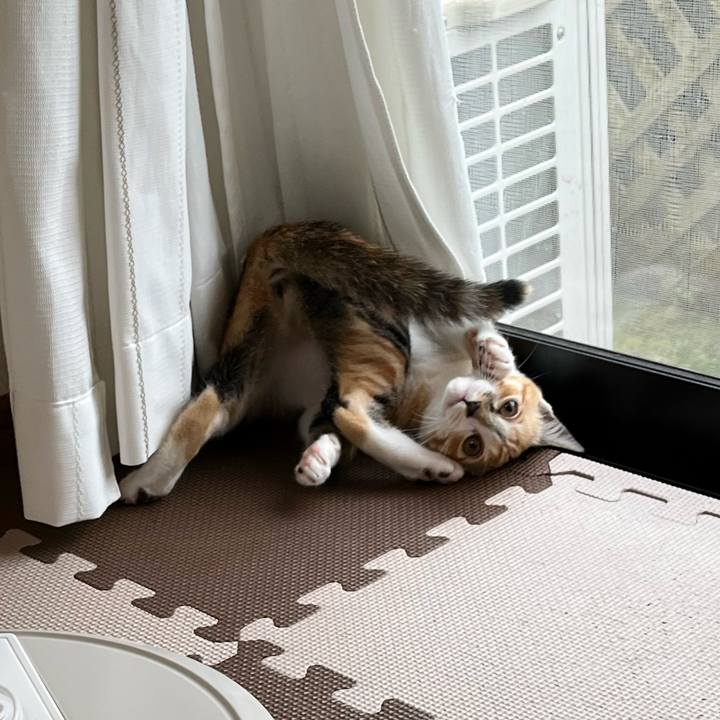 A9fe2af6 f5ef 4b91 b936 4ac7d59b90d6 1655418623578