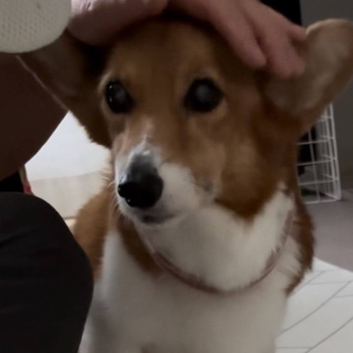 A9fe2b42 1050 47a6 b494 f774817dab7a 1757924840567