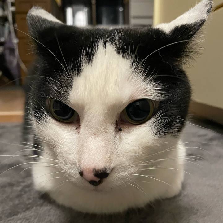 A9fe36c8 a4d8 42bb b686 665e7add8a57 1715687479054