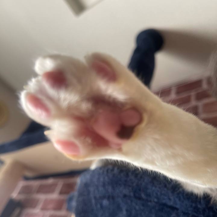 A9fe5bb6 d299 467f 8ca8 851d9d8db265 1706490797982