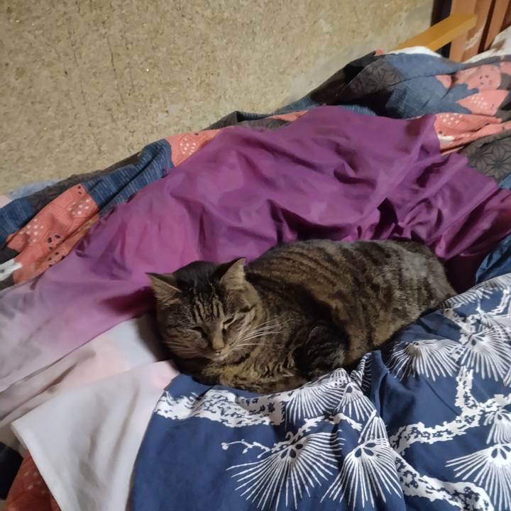 A9fe8d44 0fc6 4dcd 8511 e27485d56a4a 1706486973208