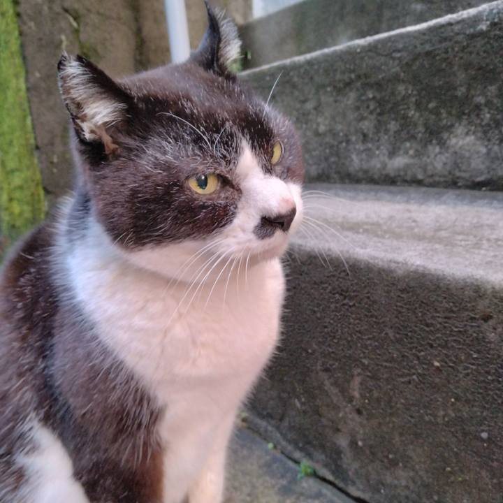 A9fece59 302b 409f 9d54 76b9235b3179 1709887569087