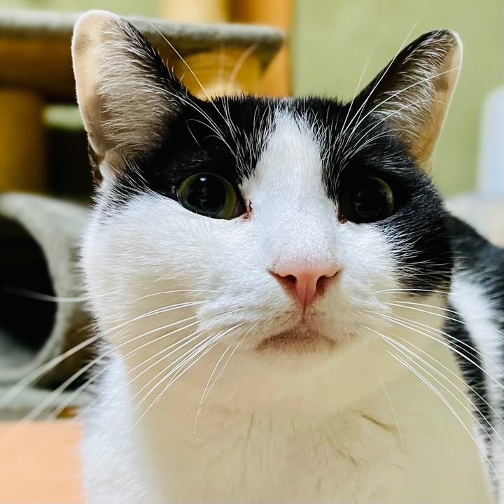 A9fedde6 693e 4695 9546 43a2943c8322 1608601701563