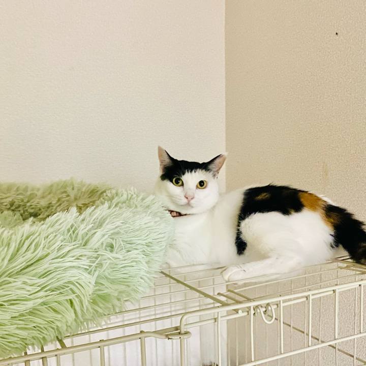 A9ff9025 4510 4c40 ae0b f5f98f5cda99 1660483292842