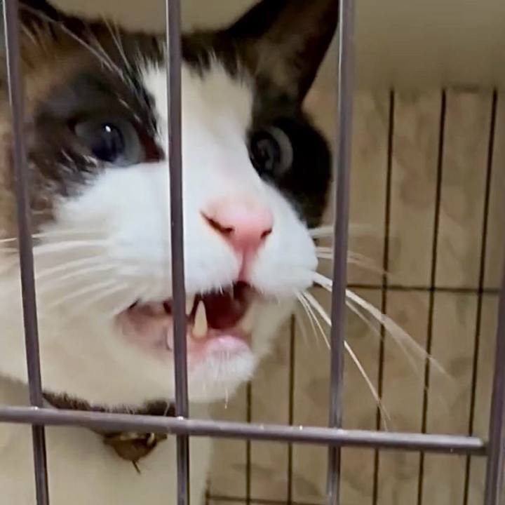 A9ff9520 e840 422c b1cc 529804b9886c 1744890884887