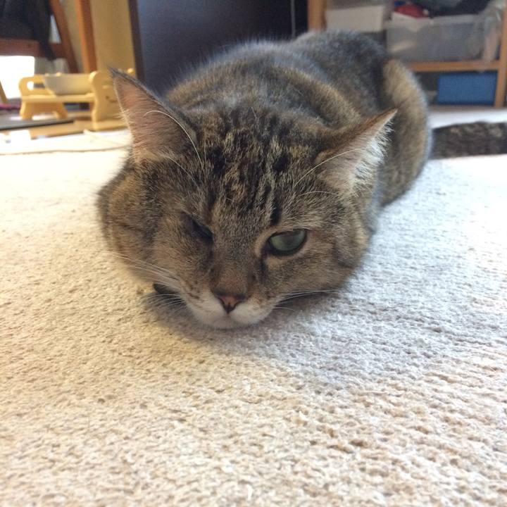 A9ffbadf 8ad4 4a46 a301 f8bdbeb5569e 1568686228734