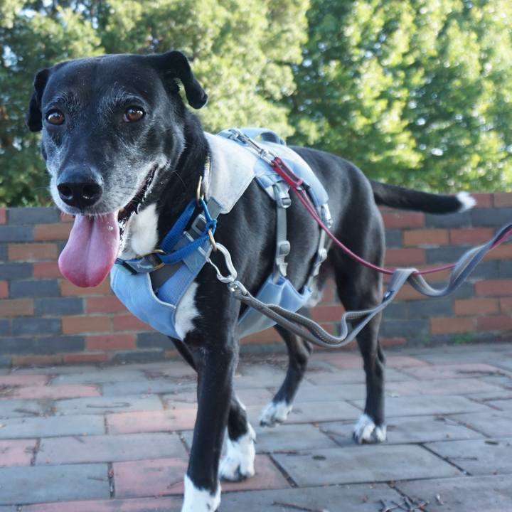 A9ffccd2 9850 447c b447 185160a22ad6 1755474826136