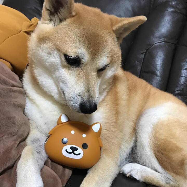 A9ffe7ac 95a1 4963 9a80 73f7ab5c93e1 1507898361150