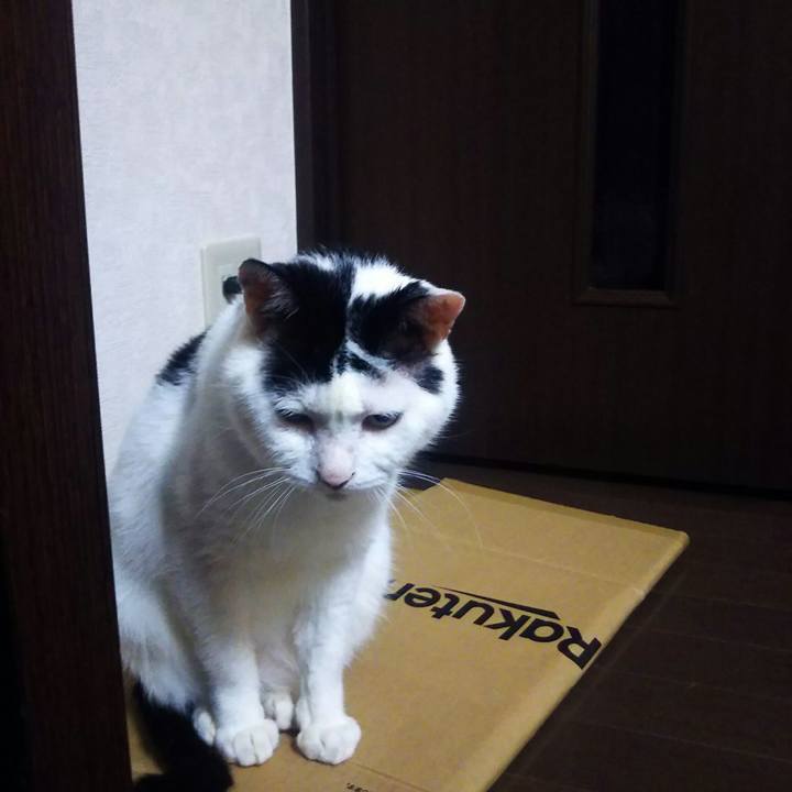 A9ffee44 476d 48ad 887a 16aa0a0c2391 1566728502523