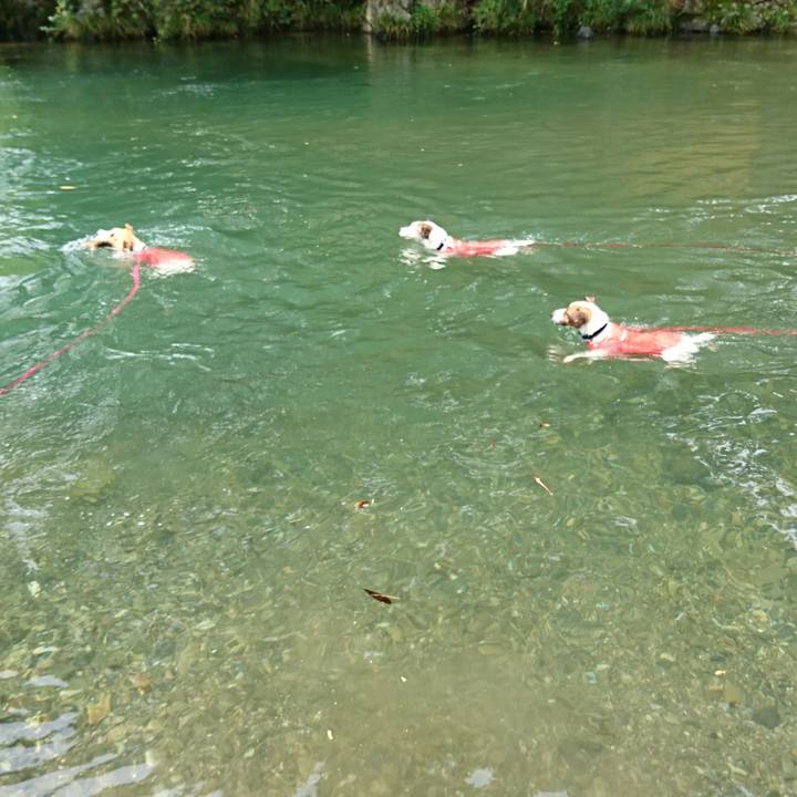 Aa00155f e554 4e35 b5e0 e9c31baf04f4 1566098741813