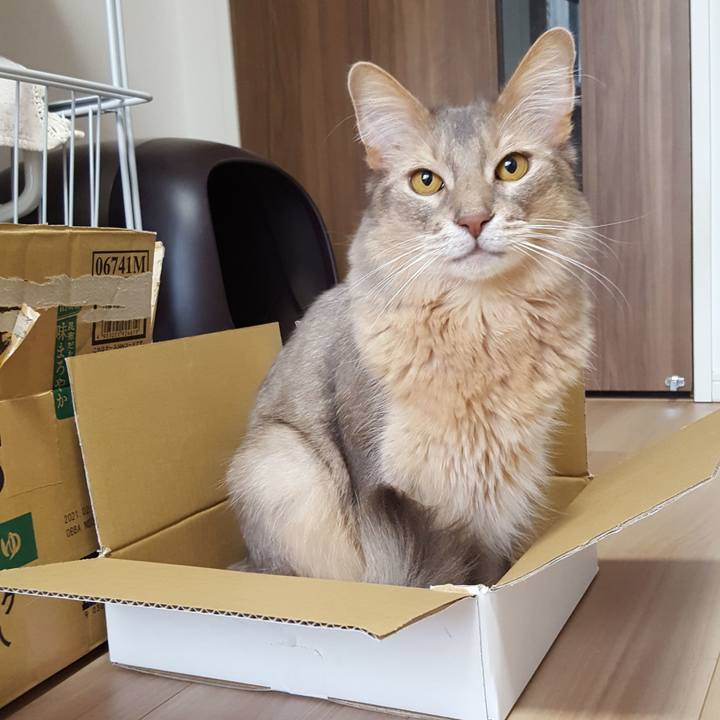 Aa003b51 400e 4857 94d0 db12304a542c 1590041116934