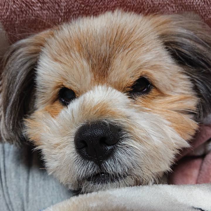 Aa008d78 a778 4ee8 948e 7a4caff278c4 1616324631412