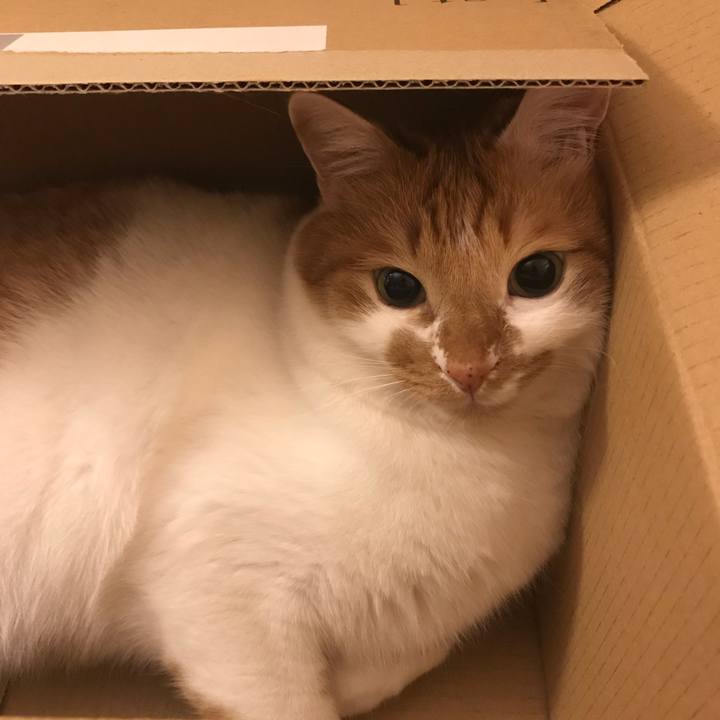 Aa0091c3 5601 45ba b96d 82df4c7ca47e 1558006255483