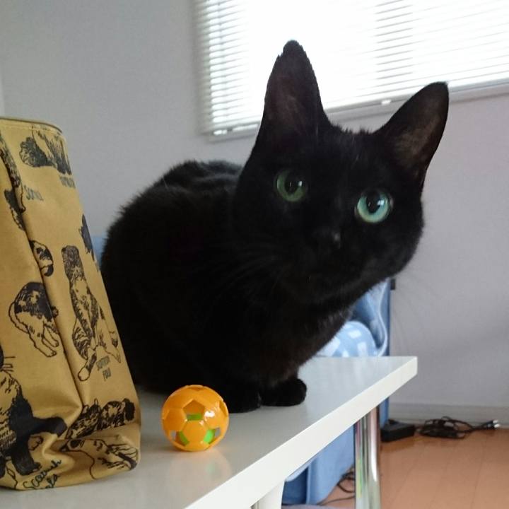 Aa0095de b609 45f6 ab08 cf30dd4bfb02 1508364260373