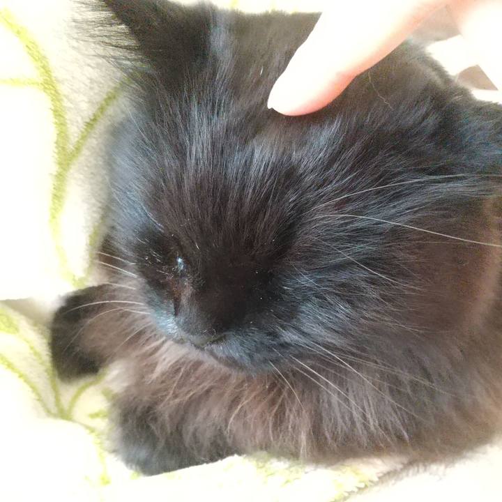 Aa009da7 4c09 4893 899e 48bc626fe57b 1606173762217