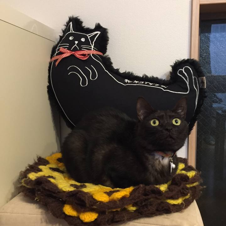 Aa00df2f 8bbe 4aa3 ac49 d808f9e8329a 1539690428768