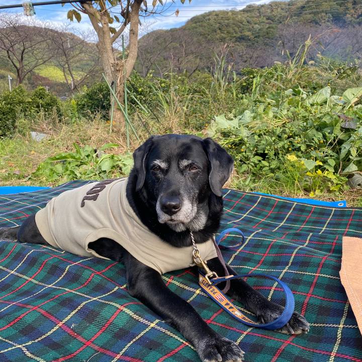 Aa011a8a 121b 4f43 9c9a 9f37959378b1 1637025950985