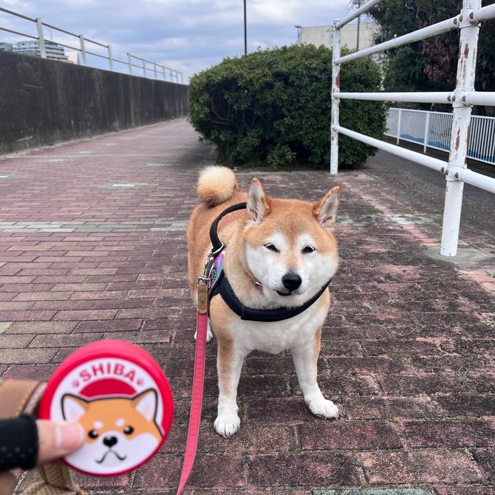 Aa015805 634b 4578 bd6f 47cd9722808f 1708148693343