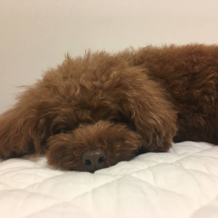 Aa015952 44a2 4855 a270 9b163f13bc01 1531919939471