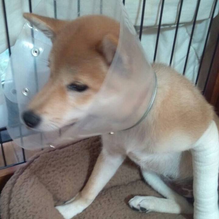 Aa018204 aa62 4fed a7e5 26d3e23fe992 1591712430154