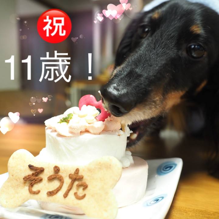 Aa0191ab 935c 4035 a87b 86e21c787971 1740881473964