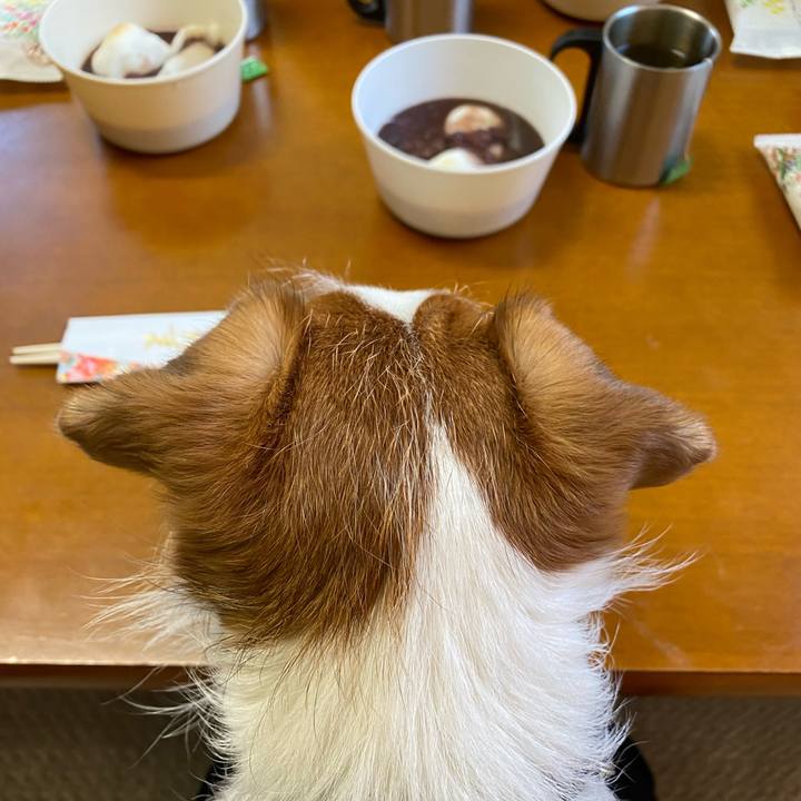 Aa01a98e 0608 40b9 8a52 8dda803b7cd2 1672560990949