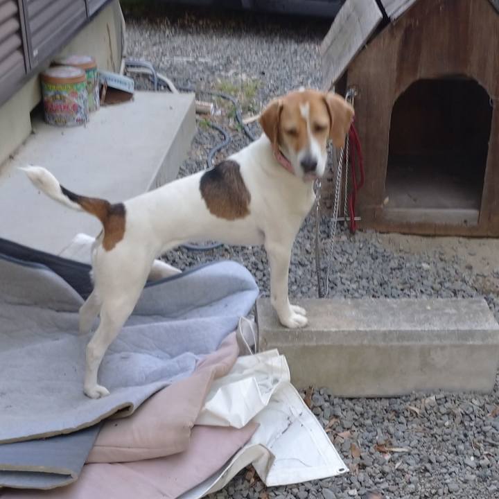 Aa01ba8c eeda 46f8 bfa7 9c0e5c86b44b 1590058897757