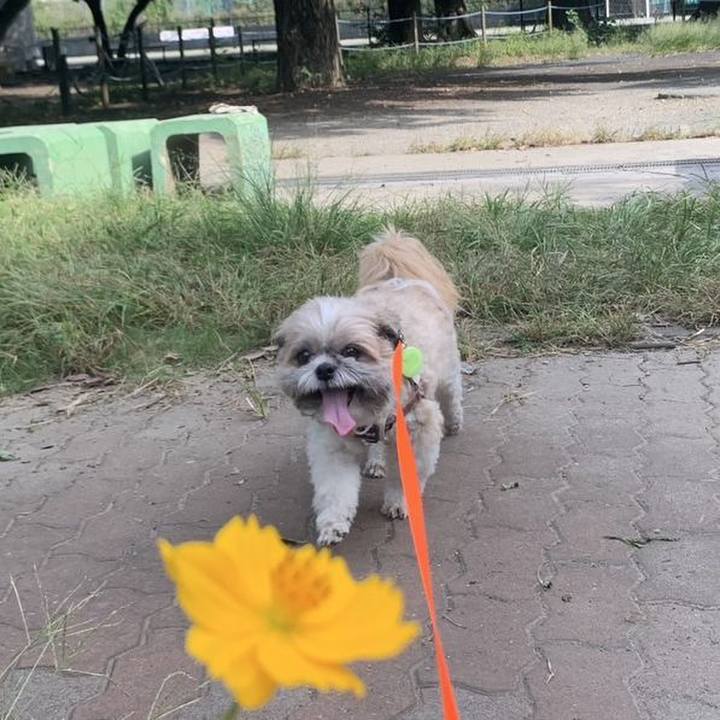 Aa01c83c 1c28 4e16 b569 93e187dfc47a 1759284763927